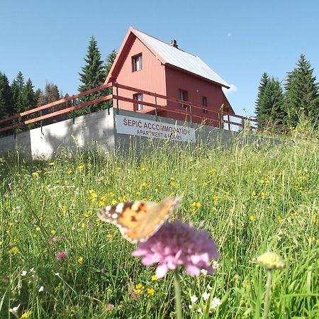 Sepic Accommodation Žabljak Dış mekan fotoğraf
