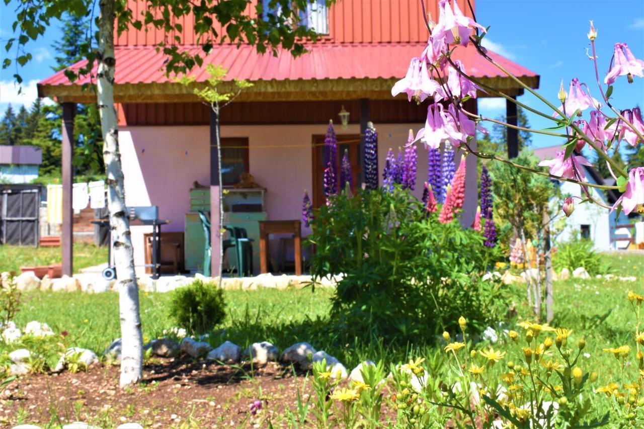 Sepic Accommodation Žabljak Dış mekan fotoğraf