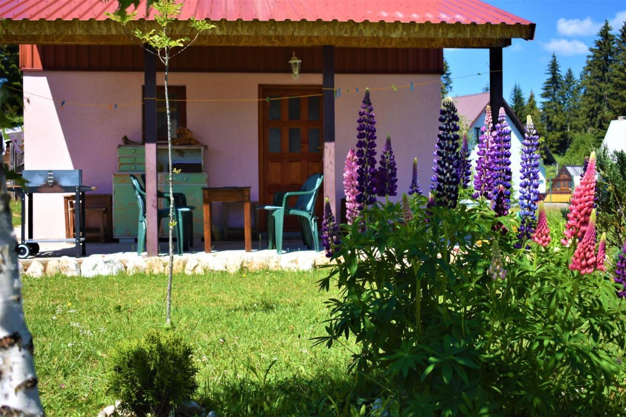 Sepic Accommodation Žabljak Dış mekan fotoğraf