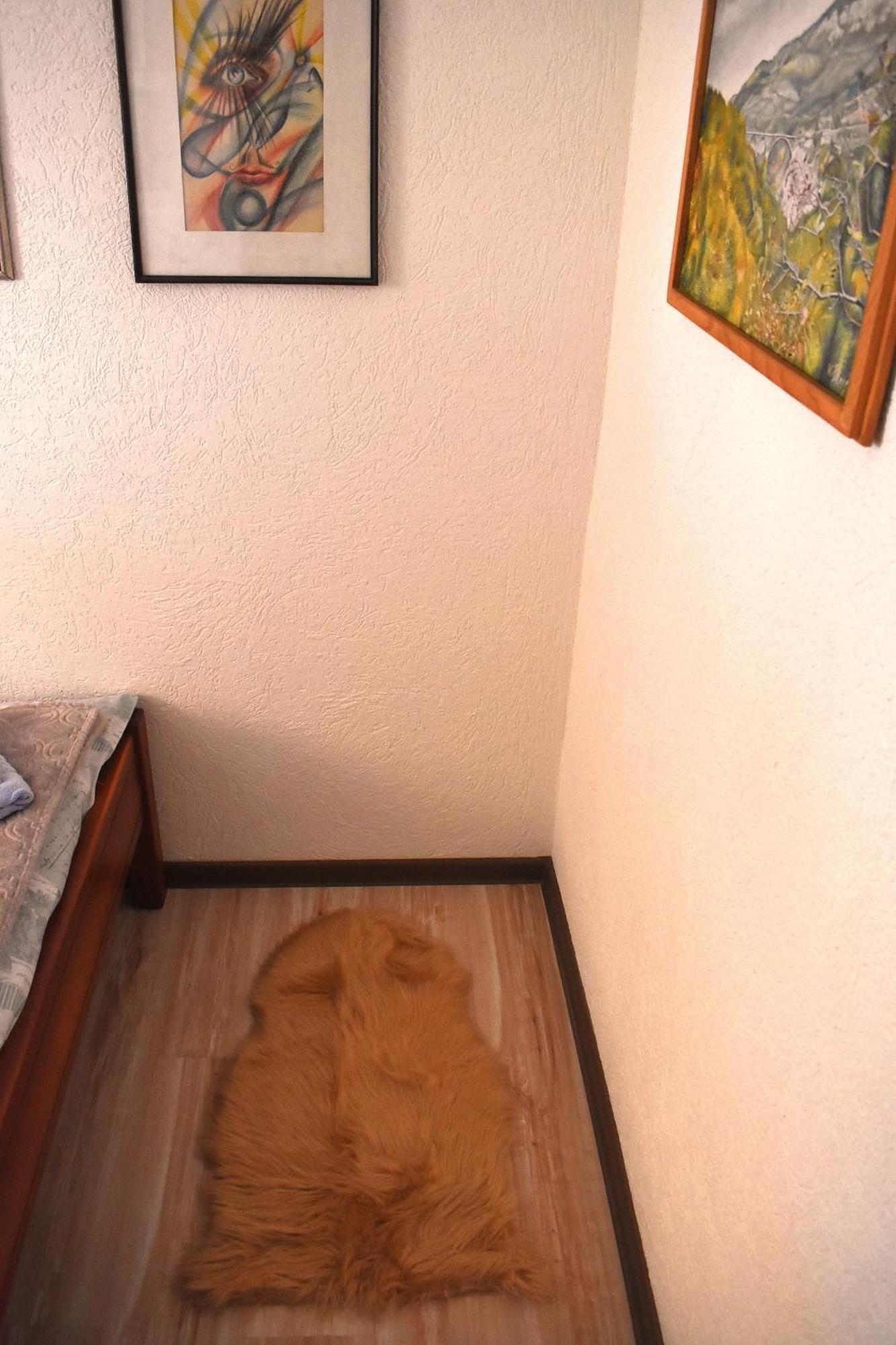 Sepic Accommodation Žabljak Dış mekan fotoğraf