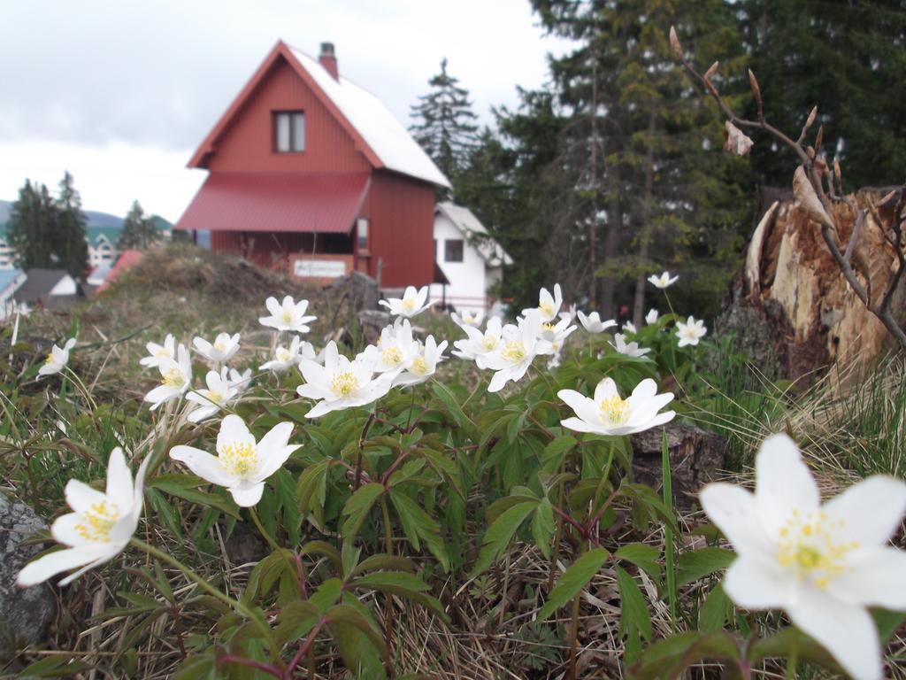 Sepic Accommodation Žabljak Dış mekan fotoğraf