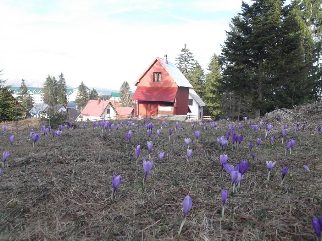 Sepic Accommodation Žabljak Dış mekan fotoğraf