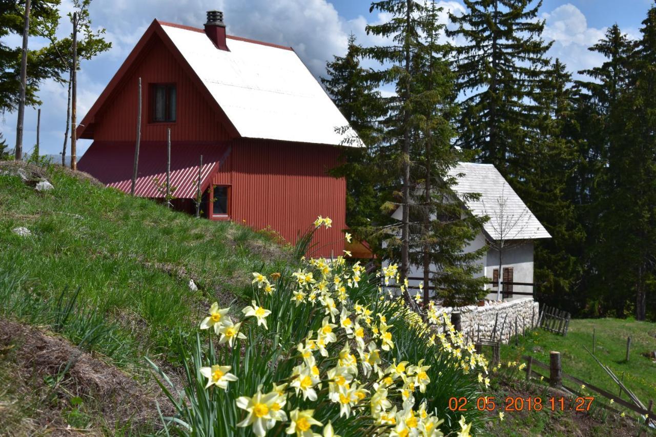 Sepic Accommodation Žabljak Dış mekan fotoğraf