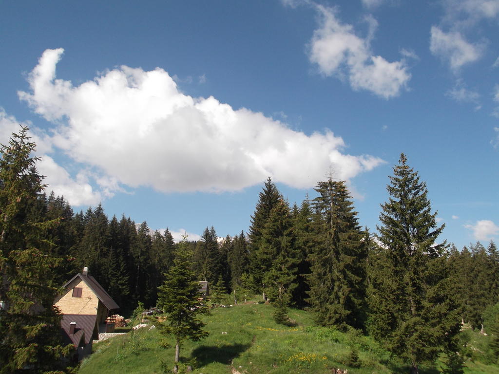 Sepic Accommodation Žabljak Oda fotoğraf